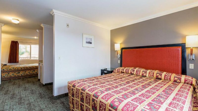 A hotel room with a large bed, nightstand, and lamp.